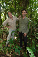 Patrick Blanc and Marc Jeanson observing the infructescences of Ampelopsis africana, Ebodje, Campo, Cameroon, Sept. 2023