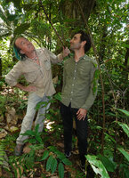 Patrick Blanc and Marc Jeanson observing the maturing infructescences of Ampelopsis africana, Ebodje, Campo, Cameroon, Sept. 2023
