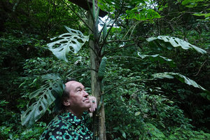 Patrick Blanc and Monstera siltepecana, Finca el Pilar, Antigua, Guatemala, Dec. 2019