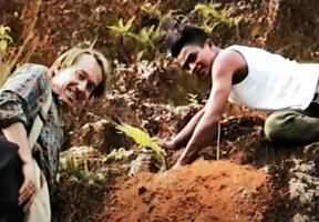 Patrick Blanc and Nelson Rabenandrianina digging out a Ravenala grandis seedling, Beforona, Madagascar, June 1998