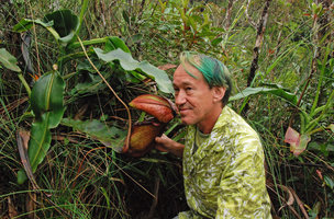 Patrick Blanc and Nepenthes rajah, Mt Kinabalu, Borneo, July 2010
