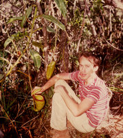 Patrick Blanc and Nepenthes x kinabaluensis, Mt Kinabalu NP, Borneo, July 1984