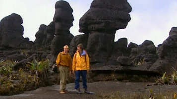 Patrick Blanc and Nicolas Hulot among the sandstone outcrops and Stegolepis guianensis clumps at the summit of Kukenan Tepui, Venezuela, March 1999