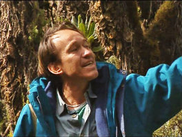 Patrick Blanc and old giant groundsels, Dendrosenecio adnivalis, Rwenzori Mt at 4500 m asl, Uganda, Feb. 1996
