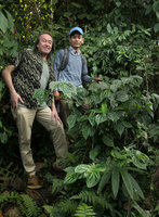 Patrick Blanc and our guide Aung Myo Win between two shrubby Elatostema species, Putao, Kachin, Myanmar, Dec. 2017