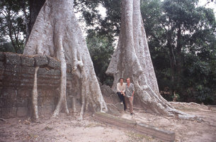 Patrick Blanc and Pacal Heni between two Tetrameles nudiflora, Ta Prohm, Angkor, Cambodia, Dec. 2004