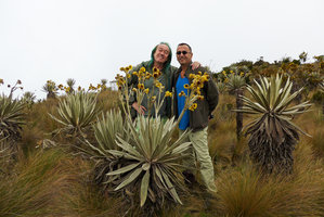Patrick Blanc and Pascal Heni among frailejones, Espeletia grandiflora, Chingaza paramo, Bogota, Colombia, Oct. 2016