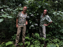 Patrick Blanc and Pascal Heni around a flowering Pavetta, Amani, East Usambara, Tanzania, Jan. 2021