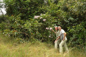 Patrick Blanc and Pascal Heni at forest edge with a climbing Bignoniaceae in full bloom, Lagos de Menegua, Puerto Lopez, Meta, Colombia, Oct. 2016