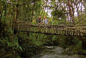 Patrick Blanc and Pascal Héni crossing a forest stream in the mossy forest on a traditional wooden and rattan bridge, Tari, 2000 m asl, Hela, Papua New Guinea, March 2016