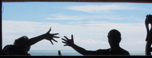 Patrick Blanc and Pascal Heni, Flores, April 2013