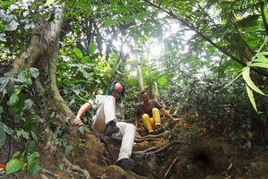 Patrick Blanc and Pascal Heni going down a vertical rocky slope to reach a waterfall, Tomohon, Sulawesi, Aug. 2015