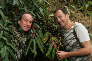 Patrick Blanc and Pascal Heni holding the flowering stems of the epiphytic Rhynchanthus johnianus, Putao, Kachin, Myanmar, Dec. 2017