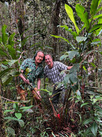 Patrick Blanc and Pascal Héni in a clump of Elettaria floribunda with tall leafy stems and basal red inflorescence, Fishing Hut, Maskeliya, Sri Lanka, Nov. 2024
