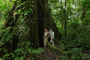 Patrick Blanc and Pascal Heni in forest understory, Yasuni NP, Ecuador, Aug. 2021