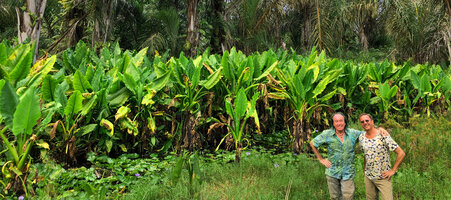 Patrick Blanc and Pascal Heni in front of a swamp filled with Typhonodorum lindleyanum, Ngezi FR, Pemba, Tanzania, Jan. 2021