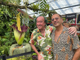 Patrick Blanc and Pascal Héni in front of the inflorescence of Amorphophallus titanum, Nancy botanical garden, France, June 2025