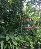 Patrick Blanc and Pascal Heni in mirror reflection, Botanic Gardens, Singapore, March 2016