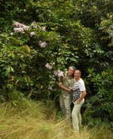 Patrick Blanc and Pascal Heni  with a climbing Bignoniaceae in full bloom, Lagos de Menegua, Puerto Lopez, Meta, Colombia, Oct. 2016