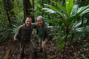 Patrick Blanc and Pascal Heni with Cordyline neocaledonica, Mt Koghi, New Caledonia, Aug. 2023