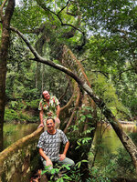 Patrick Blanc and Pascal Héni with Dipterocarpus oblongifolius, the buttresses prolonged by the upward narrowed trunk due to reaction wood thus firmly fixing this rheophytic tree on the banks, Tahan river, Malaysia, Sept. 2025