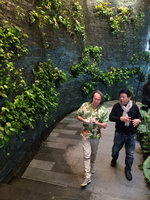 Patrick Blanc and Ped in front of the seeping wall, EmQuartier, Bangkok, Dec 2015