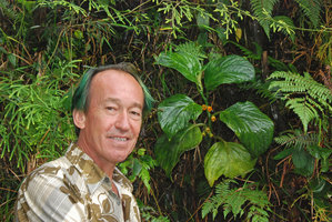 Patrick Blanc and Pentaphragma aurantiacum, Mt Kinabalu, 2500 m, Borneo, July 2010
