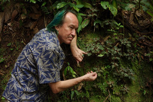Patrick Blanc and Peperomia velutina on a vertical rock, La Merced, Junin, Peru, Aug 2014
