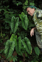 Patrick Blanc and Philodendron lynnhannoniae, Mashpi FR, Pichincha, Ecuador, Aug. 2021