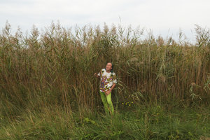 Patrick Blanc and Phragmites australis, Camargue, France, Sept. 2017