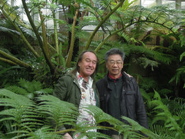 Patrick Blanc and Professor Kuo under an Angiopteris at the university, Taipei, Taiwan, March 2016