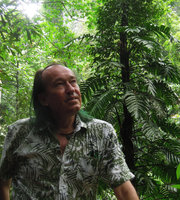 Patrick Blanc and Rhaphidophora decursiva climbing along a tree trunk, Xishuangbanna, China, June 2016