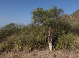 Patrick Blanc and Sansevieria ehrenbergii, Lake Abaya, Arba Minch, Ethiopia, Jan. 2019
