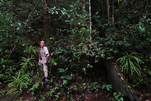 Patrick Blanc and some individuals of Alsophila sinuata on earth bank in forest understory, Kanneliya, Sri Lanka, Nov. 2024