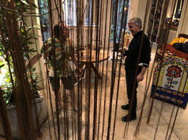Patrick Blanc and Stefano Boeri partly hidden by the living curtain of the Cissus verticillata roots in Patrick&#039;s home, Feb. 2021