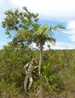 Patrick Blanc and Syagrus orinocensis, adult with pinnate leaves and juvenile stemless with entire erect leaves, Cano Cristales, Meta, Colombia, Oct. 2016