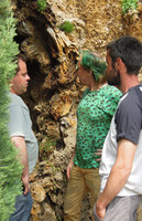 Patrick Blanc and Sylvain Bidaut inside the Gina Trevier&#039;s botanical experimental cave, Carpentras, France, April 2012