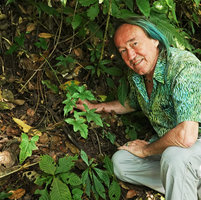 Patrick Blanc and Syngonium steyermarkii, Mirador Rey Tepepul, Lake Atitlan, Guatemala, Dec. 2019