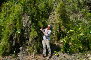 Patrick Blanc and the bamboo Arthrostylidium capillifolium, La Farola, Baracoa, Cuba, Feb. 2017