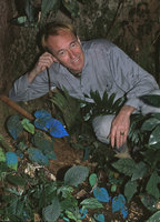 Patrick Blanc and the blue iridescent Begonia pavonina, Cameron Highlands, Malaysia, Aug. 2003