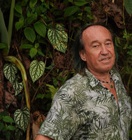 Patrick Blanc and the bright silver leaves of Piper argyrites, S. Kongkoi, Negeri Sembilan, Malaysia, April 2023