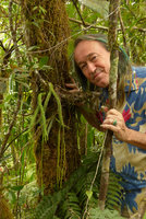 Patrick Blanc and the epiphytic Huperzia foliosa (Syn. Lycopodium) with stiff recurved leaves and long fertile strobili,  Waisali, Vanua Levu, Fiji, Aug. 2016