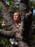 Patrick Blanc and the gnarled Banksia serrata trunk, Manly, Sydney, Sept. 2013
