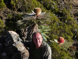 Patrick Blanc and the huge flower heads of Echinops longisetus, base of Sanetti Plateau, 3800 m asl, Bale NP, Ethiopia, Jan. 2019