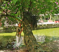 Patrick Blanc and the huge trunk of the arborescent Bougainvillea glabra, Curitiba, Brasil, Nov. 2011