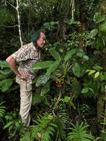 Patrick Blanc and the large Aglaonema densinervium, Balinsasayao Twin Lakes, Negros Oriental, Philippines, Jan. 2025