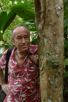 Patrick Blanc and the leafless Orchid Taeniophyllum fasciola, the photosynthetic roots appressed to host tree bark, Biausevu, Viti Levu, Fiji, Aug. 2016