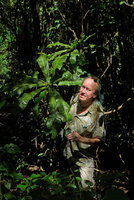 Patrick Blanc and the monocaulous Clavija cf.membranacea with spiny leaf margins, Tayrona NP, Magdalena, Colombia, Nov.. 2016