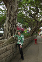 Patrick Blanc and the old Ficus microcarpa, Nathan Road, Hong Kong, Oct. 2015