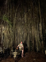 Patrick Blanc and the roots of a Ficus hanging along a karst cliff, Railay, Phang Nga, Thailand, March 2022
